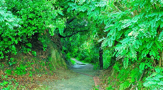 瀬戸内芸術祭パスポートチケット、買ったほうがお得？