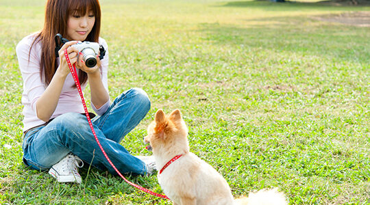 人気のオリジナルグッズ！　愛犬家が喜ぶプレゼント3選