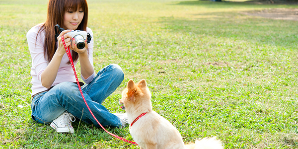 人気のオリジナルグッズ！　愛犬家が喜ぶプレゼント3選