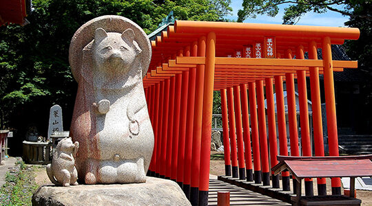 【伝説の地】香川の「たぬき」にまつわる不思議なお話