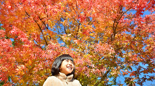 10月の3連休はどこに行く？　親子におすすめ紅葉スポット