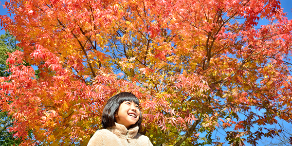 10月の3連休はどこに行く？　親子におすすめ紅葉スポット