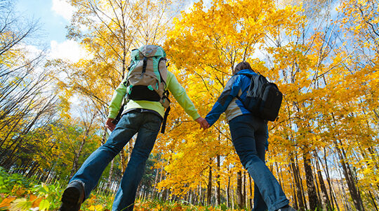 10月の3連休に行ける！　秋を感じるおすすめ「大人の旅行先」