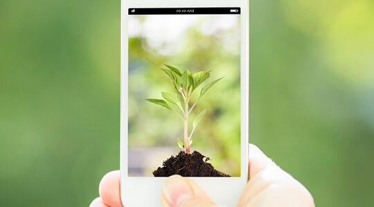 オリジナルTシャツ制作に使える画像加工アプリ3選