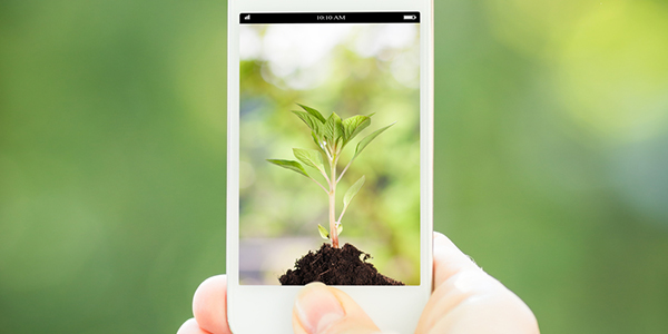 オリジナルTシャツ制作に使える画像加工アプリ3選