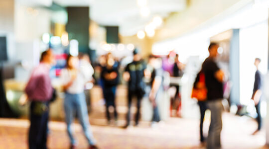 大人だって楽しみたい！　都内のおすすめ文化祭5選