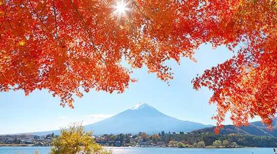 美しい景色をそのままに！　紅葉を上手に撮影するコツ