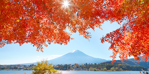 美しい景色をそのままに！　紅葉を上手に撮影するコツ