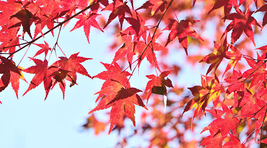 登山の際はしっかり準備！　山で紅葉を楽しむ前に覚えておきたい注意点