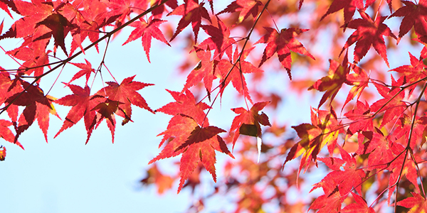 登山の際はしっかり準備！　山で紅葉を楽しむ前に覚えておきたい注意点