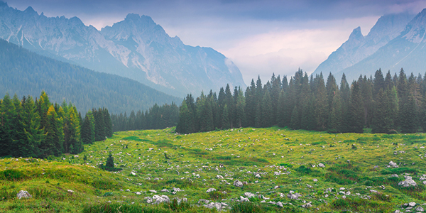 自然をモチーフにした「ナチュラル系Tシャツ」を作ろう！