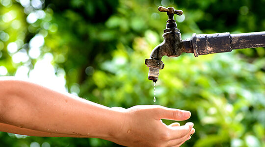 香川の都市伝説！「蛇口からうどんの出汁」は本当に出るのか？