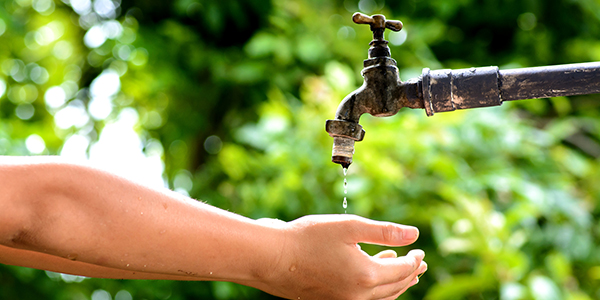 香川の都市伝説！「蛇口からうどんの出汁」は本当に出るのか？