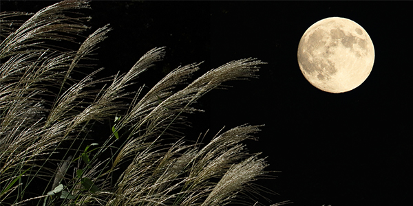 中秋の名月が美しい！　都内で見られるお月見スポット4選