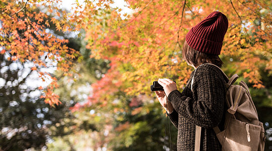 初めてでも楽しく汗を流せる！　秋から始めてみたいスポーツ4選