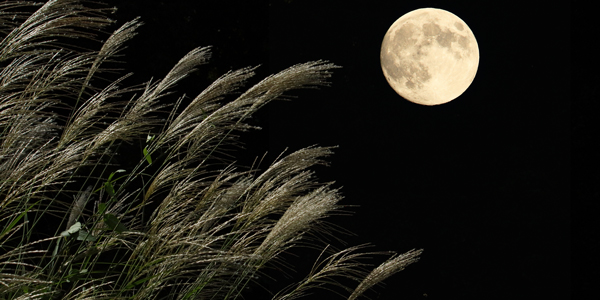 中秋の名月に向けて。オリジナルTシャツに使いたい「月の種類」