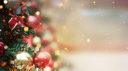 クリスマスカラーやモチーフを取り入れて素敵なTシャツを作ろう