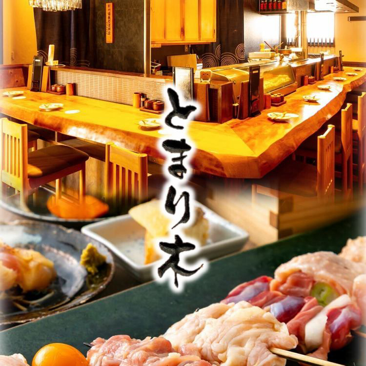焼鳥とまり木 店内