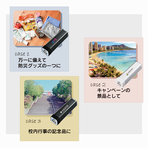 カスタムデザインチャージャー2200