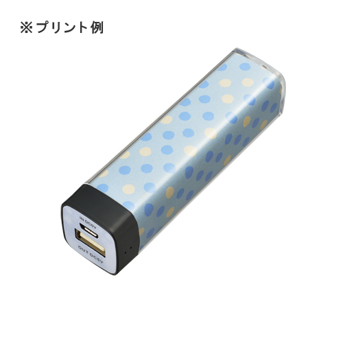 カスタムデザインチャージャー2200