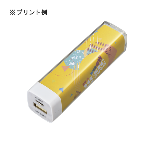 カスタムデザインチャージャー2200