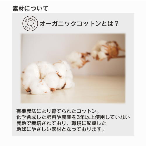 オーガニックコットンキャンバストート(S)