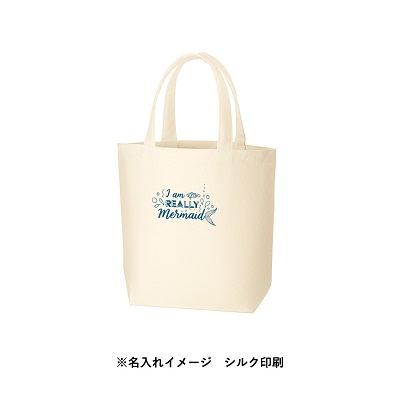 キャンバスデイリートート(SM)