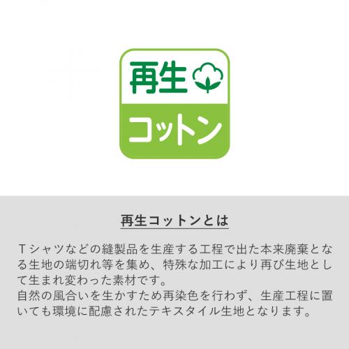 シャンブリックキャンバストート(M)